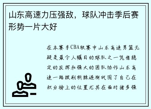 山东高速力压强敌，球队冲击季后赛形势一片大好